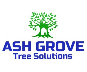 Ash Grove Tree Solutions