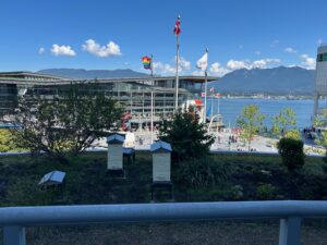 View from the Fairmont Hotel over Harbour